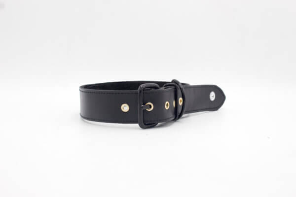 Black Simple Leather Collar