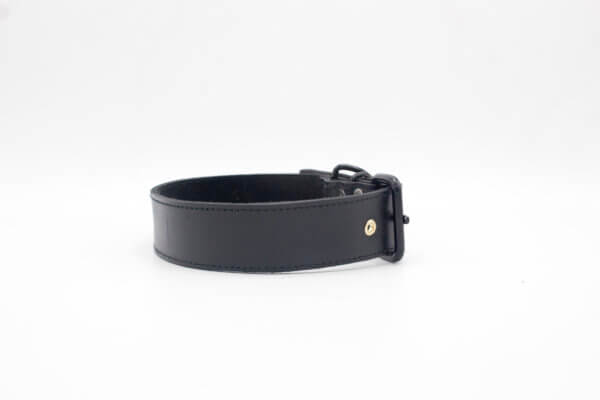 Black Simple Leather Collar