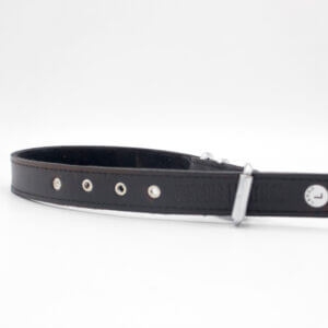 stud leather collar