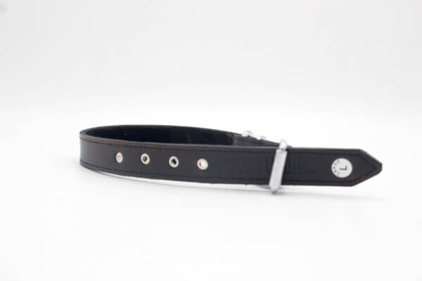 stud leather collar