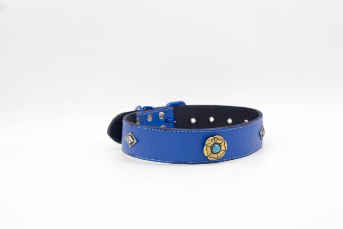 Queens Dog Collar / Queen Leather Dog Collar