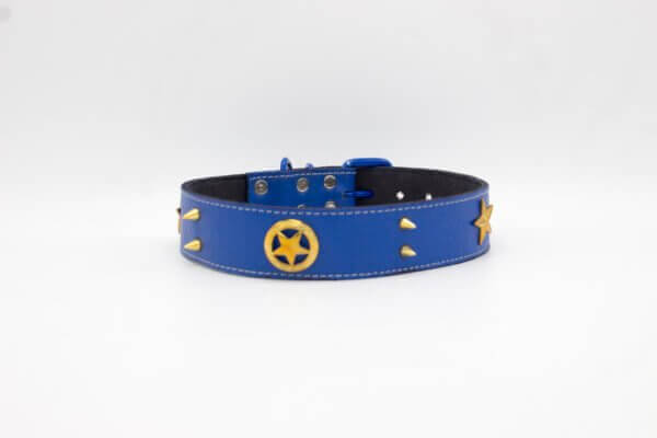 Taxes Dog Collar | Genghis Golden Star with Cone Leather Collar / Designer Leather Dog Collar