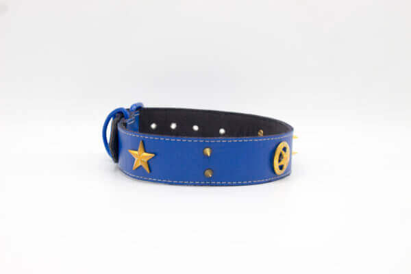 Best Friends / Taxes Dog Collar | Genghis Golden Star with Cone Leather Collar