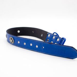 Silver Dog Collar | Genghis Vintage Taxes Star Blue Leather Collars