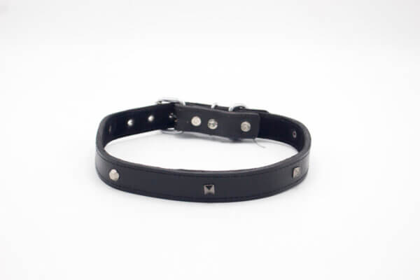 Heavy Duty Dog Collar | Genghis Heavy Duty Leather Dog Collars