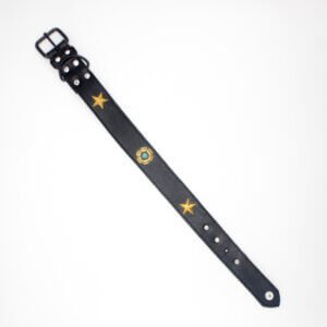 Black Dog Collar | Genghis Golden Star & Flower Leather Dog Collars