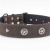 Leather collar / Dog Collars