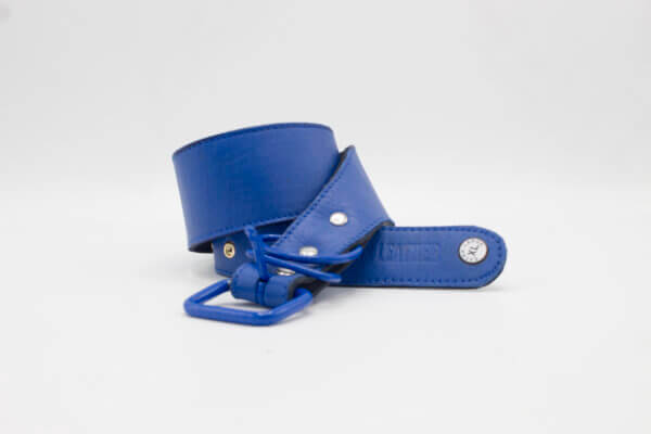 Vintage Blue Dog Collar | Vintage Simple Blue Leather Dog Collars
