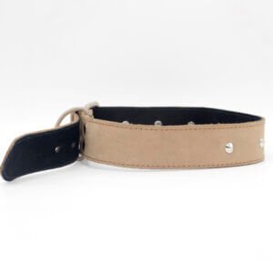 Sliver Brown Leather Collar | Genghis Pointed Sliver Stud Dog Collar