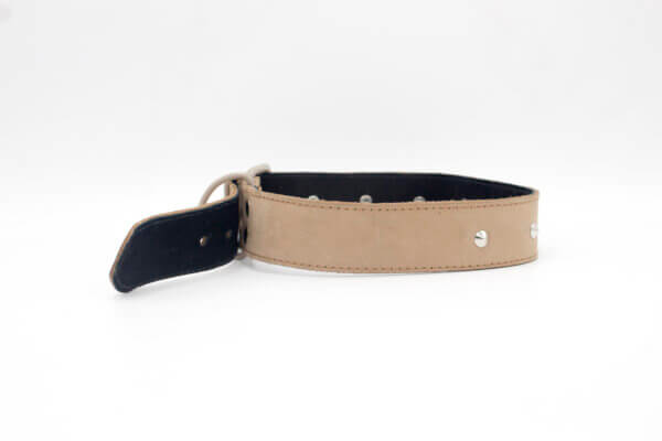 Sliver Brown Leather Collar | Genghis Pointed Sliver Stud Dog Collar