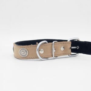 Studded Dog Collars | Genghis Shield Stud Leather Collar for Puppy's & Cats