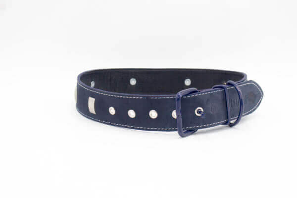 Vintage Dog Collar | Genghis Five Star Texas Leather Dog Collars