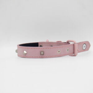 cone leather collar for puppy's