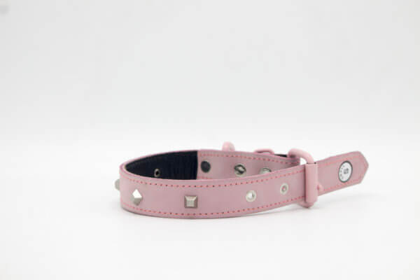 leather collar for puppy's & cats