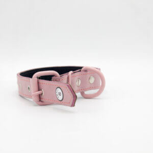 leather collar for puppy's & cats