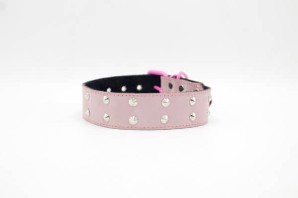Round Studs Dog Collars | Genghis Double Round Stud Leather Dog Collar