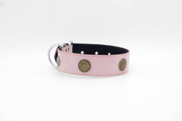 Genghis Shield Dog Collar | Genghis Shield Stud leather Dog Collars