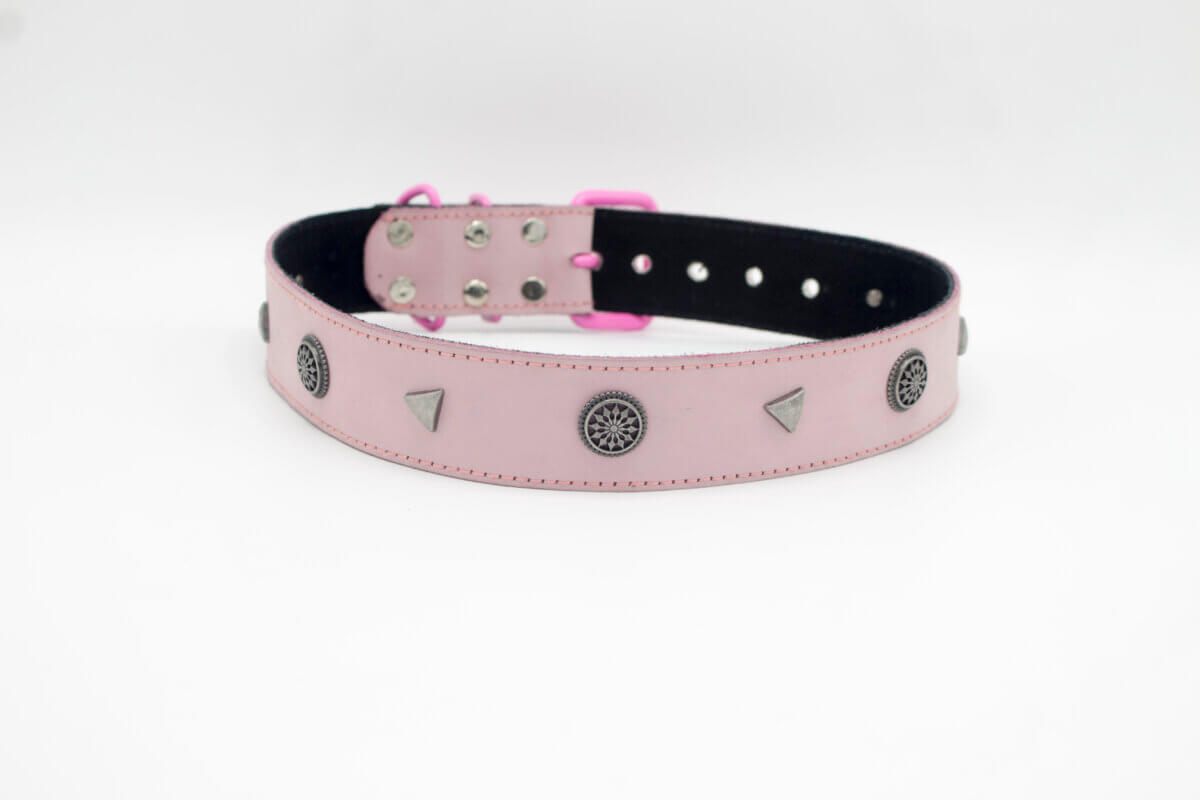 Pointed Studs Dog Collar | Genghis Star Pointed Stud Leather Dog Collars/ Pyramid Pet Collar