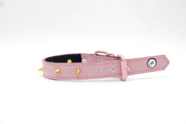 Golden Cone Dog Collar | Genghis Golden Cone Pink Leather Collar