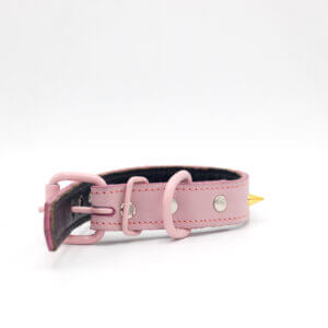 cone leather collar for puppy's