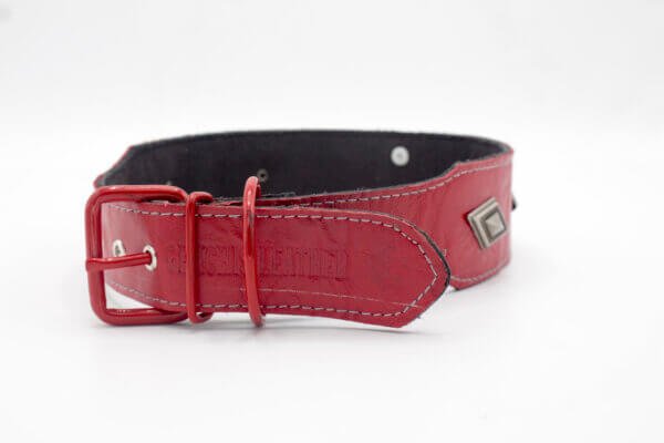 Emperor Turquoise Dog Collar | Emperor Vintage Red Leather Dog Collars