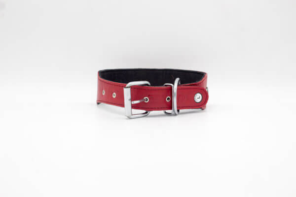 Queen Designer Dog Collar | Genghis Queen Designer Leather Dog Collars