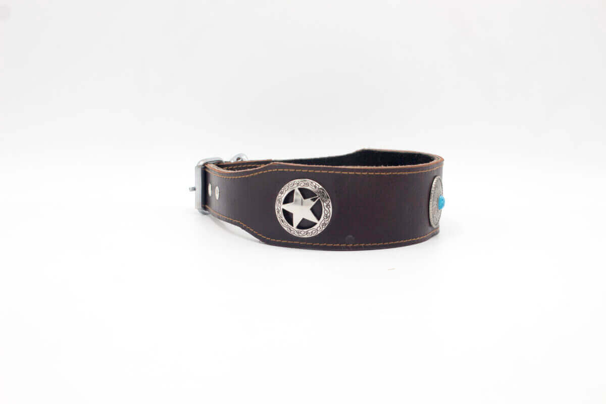 Military Style Dog Collars