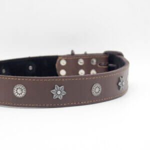 Stars Leather Dog Collar