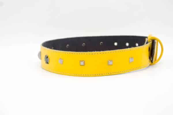 Genghis Yellow Dog Collar