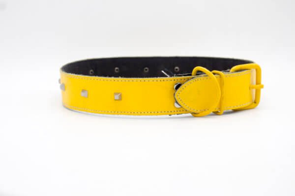 Genghis Yellow Dog Collar Three Round Plated leather Dog Collars