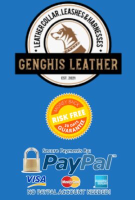 Paypal & Genghis Logo