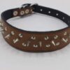 Padded Leather Dog Collar
