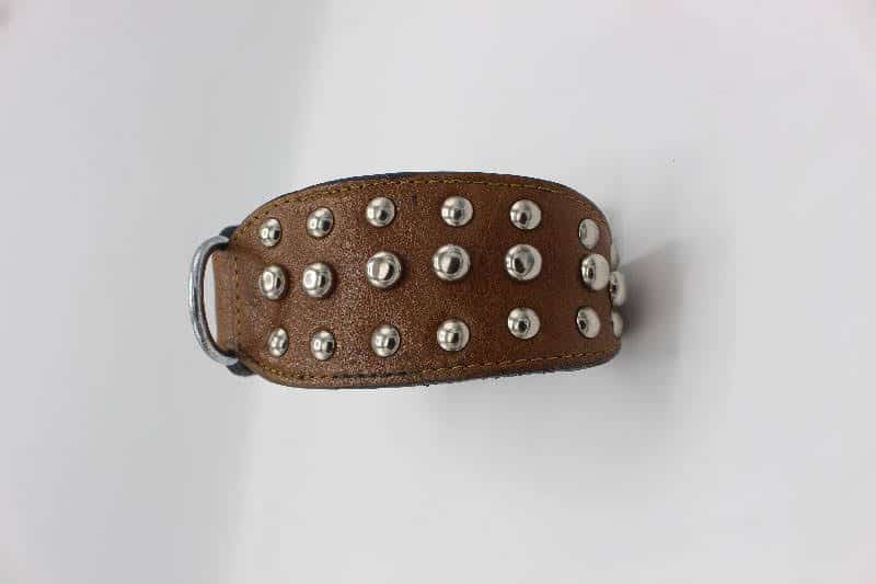 Dog Collar / Leather Dog Collar