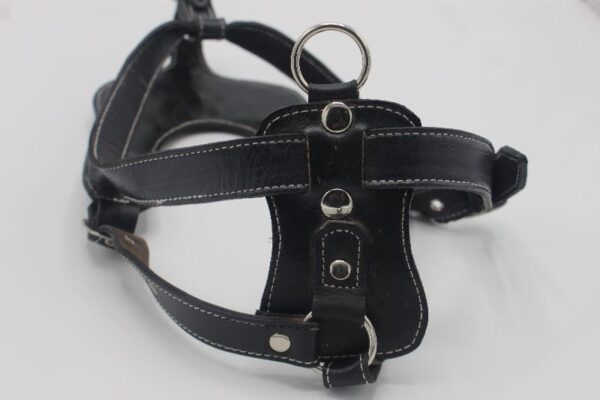 Dog Harnesses